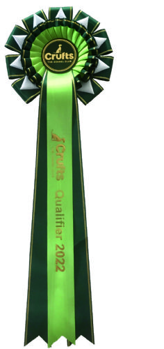 Crufts Qualifying Rosette WITHOUT Dog's Name*